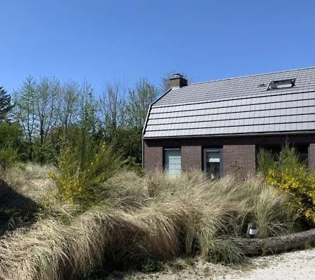 Goudvink *